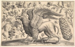 Un grifo, 1625-77 de Wenceslaus Hollar