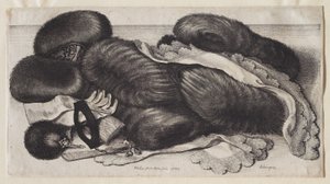  de Wenceslaus Hollar