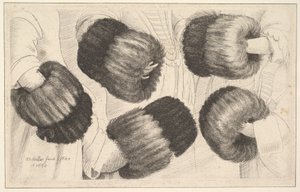 Un manguito en cinco vistas de Wenceslaus Hollar