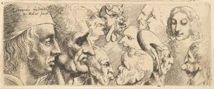 Una variedad de cabezas de Wenceslaus Hollar