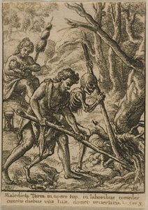 Adán arando de Wenceslaus Hollar