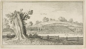 Albury con tocón de árbol en primer plano de Wenceslaus Hollar