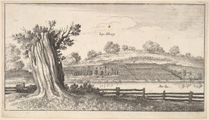 Albury con tocón de árbol en primer plano de Wenceslaus Hollar