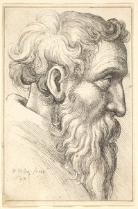 Viejo barbudo de perfil a la derecha, 1645 de Wenceslaus Hollar