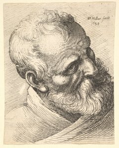 Viejo barbudo con la cabeza inclinada de Wenceslaus Hollar