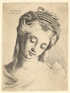 Busto de una joven con elaborado tocado, mirando hacia abajo de Wenceslaus Hollar