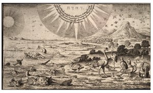 Creación de aves y peces de Wenceslaus Hollar