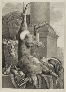 Liebre muerta