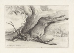 Un ciervo muerto a tiros
Caza, sabuesos y caza (título de la serie) de Wenceslaus Hollar