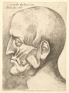 Cabeza de hombre en perfil a la izquierda, 1660 de Wenceslaus Hollar