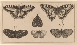 Cinco mariposas y una polilla de Wenceslaus Hollar