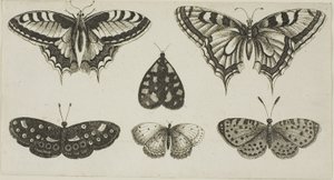 Cinco mariposas y una polilla de Wenceslaus Hollar