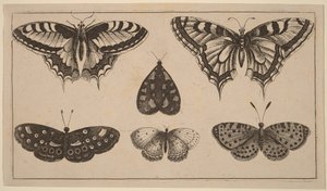  de Wenceslaus Hollar