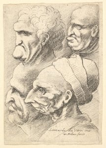 Cuatro cabezas grotescas de perfil a la izquierda de Wenceslaus Hollar