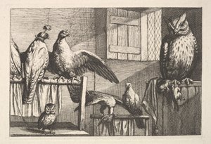 Halcones y búhos, 1625-77