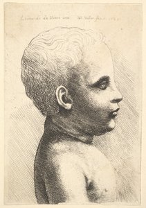 Cabeza y hombros de un niño, de perfil a la derecha, 1645 de Wenceslaus Hollar