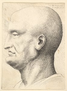 Cabeza de un hombre calvo de perfil a la izquierda, 1644-52