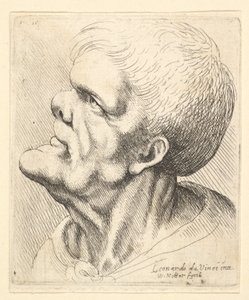 Cabeza de un hombre con mentón prominente y nariz chata mirando hacia arriba en perfil a la izquierda, 1625-77 de Wenceslaus Hollar