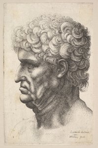 Cabeza de un hombre con cabello rizado grueso en perfil hacia la izquierda, 1640-49