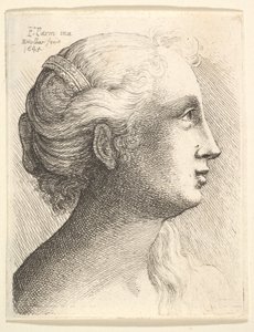 Cabeza de una joven de perfil a la derecha, 1645