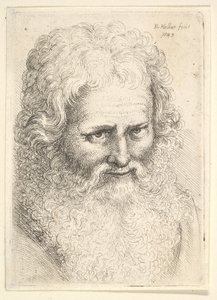 Cabeza de un anciano con una gran barba, 1645 de Wenceslaus Hollar