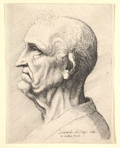 Cabeza de un anciano con mechones de cabello rizado alrededor de la oreja en perfil hacia la izquierda, 1644-52 de Wenceslaus Hollar
