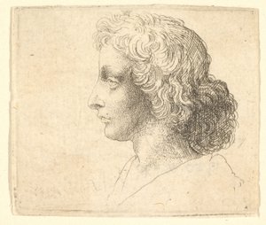 Cabeza de joven con cabello largo de perfil a la izquierda de Wenceslaus Hollar