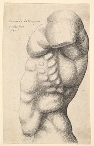 Torso masculino del cuello a la cadera en perfil hacia la izquierda, 1645