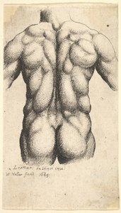 Torso masculino desnudo visto desde atrás de Wenceslaus Hollar