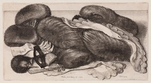  de Wenceslaus Hollar