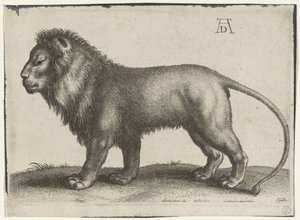 león de pie de Wenceslaus Hollar