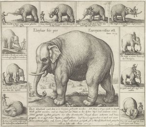 también huelen Se vio un elefante aquí en Europa (título sobre el objeto) de Wenceslaus Hollar