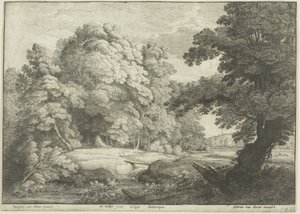 El puente sobre la cascada de Wenceslaus Hollar