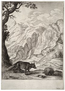 El zorro y el puercoespín de Wenceslaus Hollar