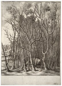 El zorro y el arbusto de espinas de Wenceslaus Hollar