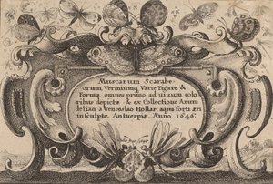 Página de título, 1646 de Wenceslaus Hollar