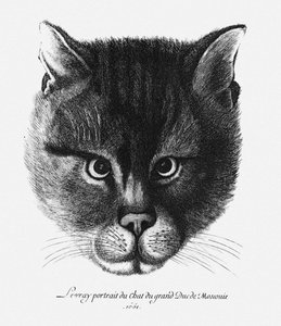 Imagen verdadera del gato del Zar Alexis I Mikhailovich de Rusia de Wenceslaus Hollar