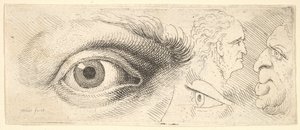 Dos ojos y dos cabezas de Wenceslaus Hollar