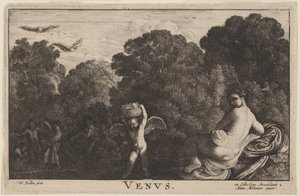 Venus de Wenceslaus Hollar