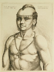 Indio de Virginia de 