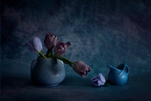  de Wendy Xu