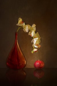 de Wendy Xu