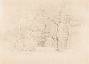 Paisaje, arboleda de Werner Holmberg