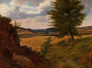 Árbol en paisaje de campos, estudio de Werner Holmberg