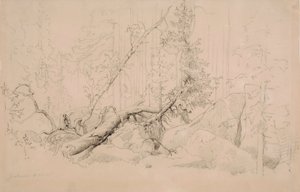  de Werner Holmberg