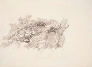  de Werner Holmberg