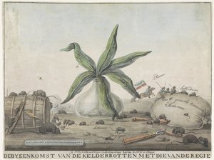 Caricatura sobre los douanes franceses, 1813-1814
El Encuentro de las Ratas de Bodega con las de la Regie (título en el objeto)