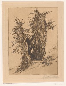 Árbol hueco cerca de Seelisberg en Suiza
Árbol hueco (título original)