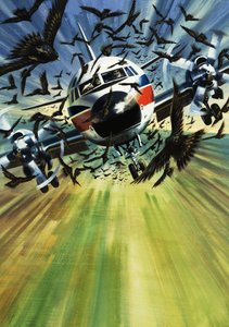 Un avión de pasajeros amenazado por una bandada de pájaros de Wilf (20th century) Hardy