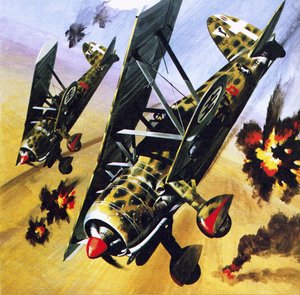 Dos Fiat CR 42 de Wilf (20th century) Hardy
